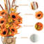 Decoration