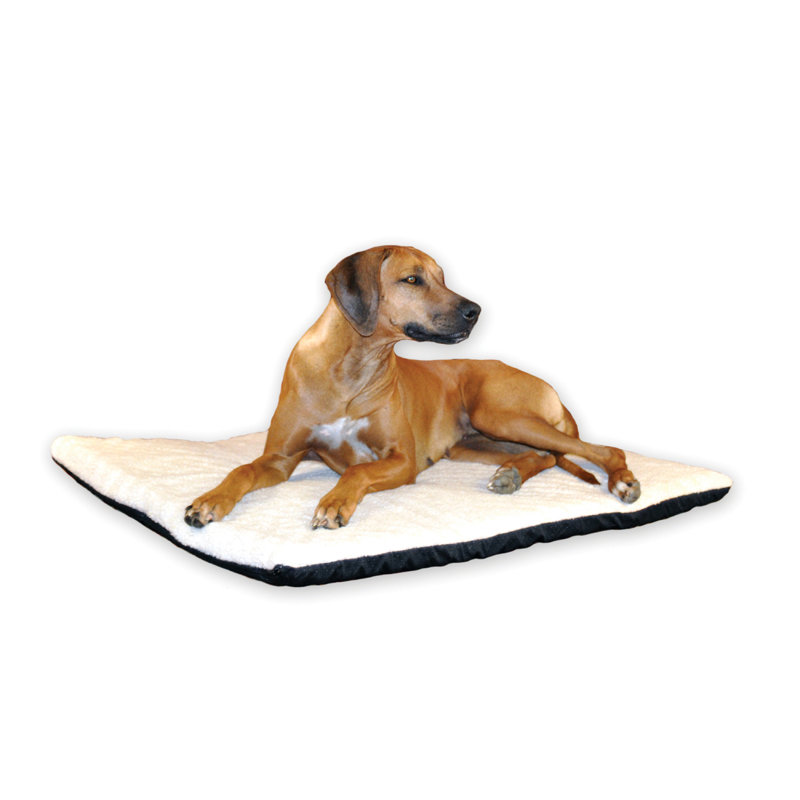 Coussin Thermo-Ortho avec fond «Stay Put», Très grand (l 43 po x P 33 po x H 3 po), Gruau