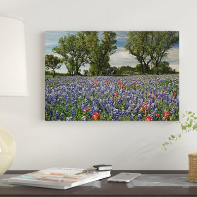 «Sand Bluebonnet and Indian Paintbrush Flowers in Bloom» par Tim Fitzharris - reproduction de photo sur toile