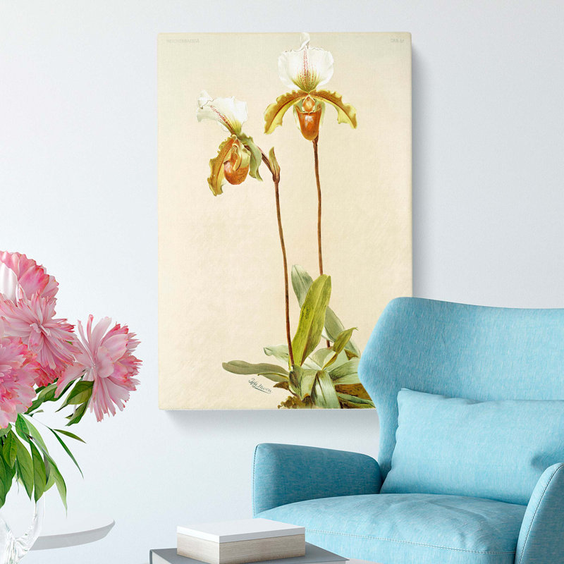 Magnolia Flowers Illustration Tab. 57 by Frederick Sander - Wrapped Canvas, 50cm H x 35cm W x 3cm D