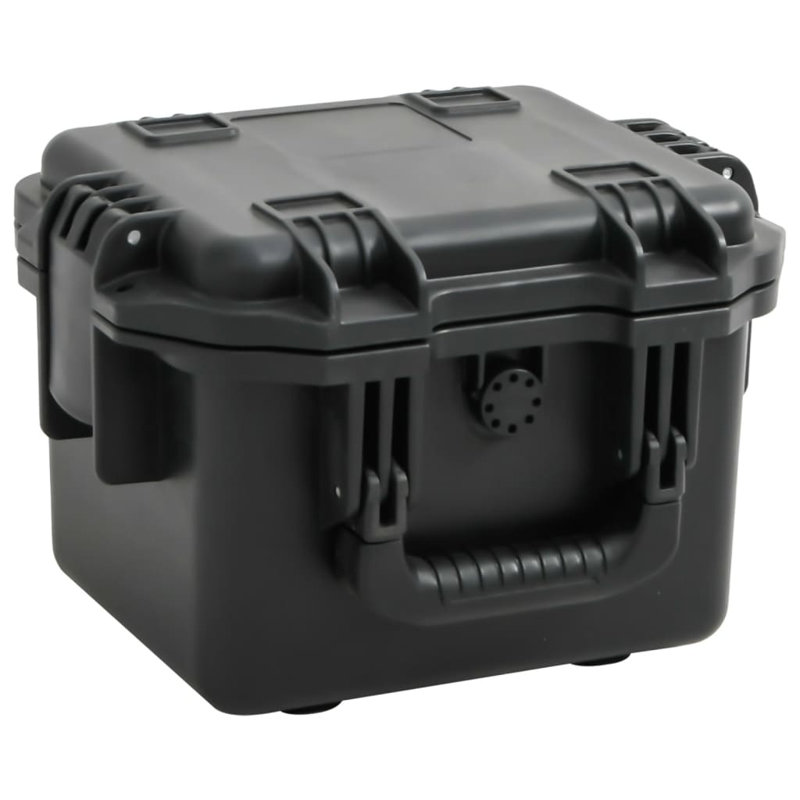 Portable Flight Case Black 11.8"X9.6"X7.9" PP