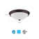 Essentials Glass LED Flush Mount