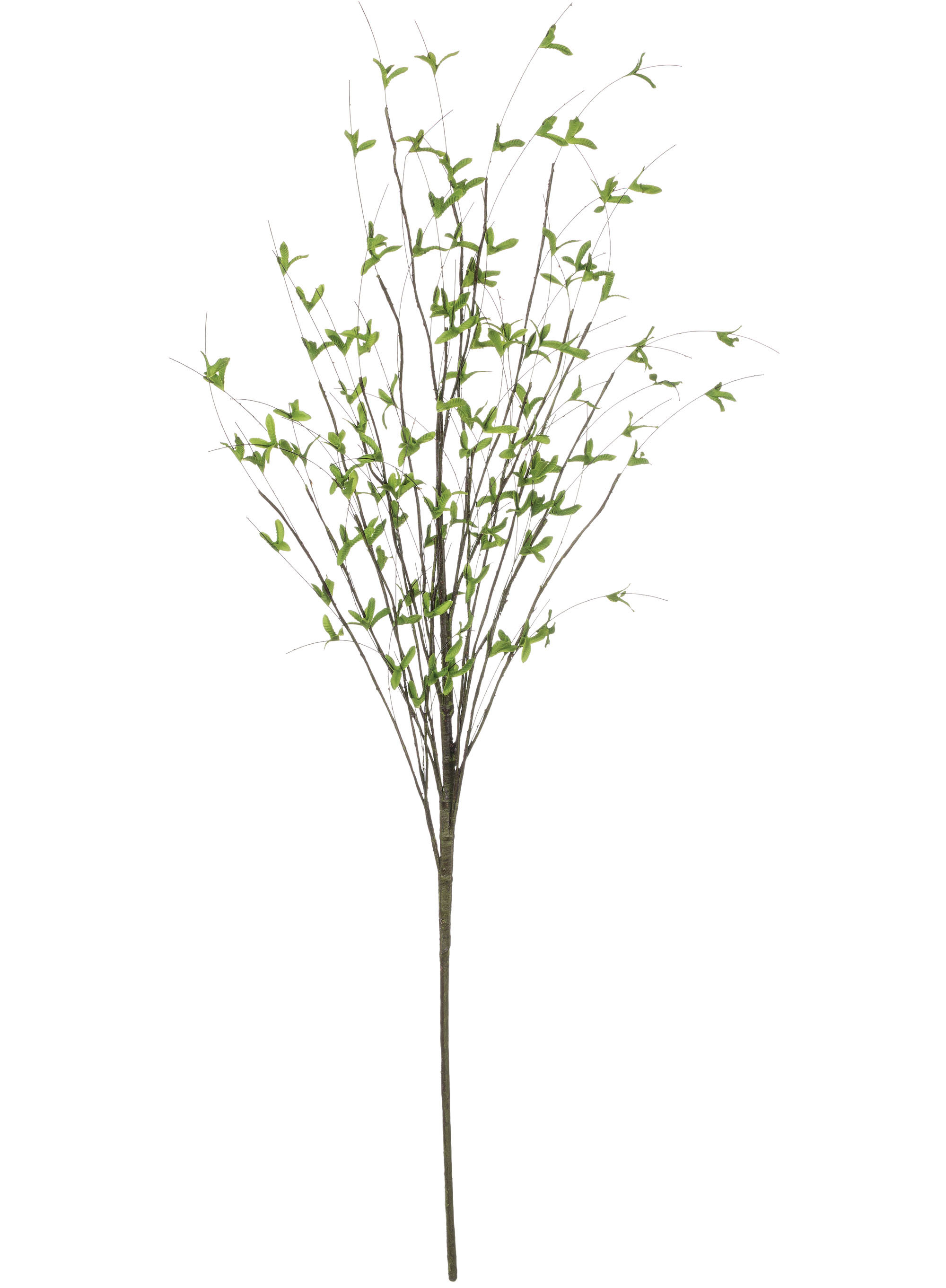 Freeport Park® Kanode Leafy Foliage Plant - Wayfair Canada