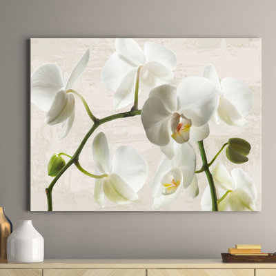 Ivory Orchids 1 Piece Wrapped Canvas Wall Art