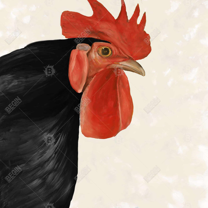" Black Hen "