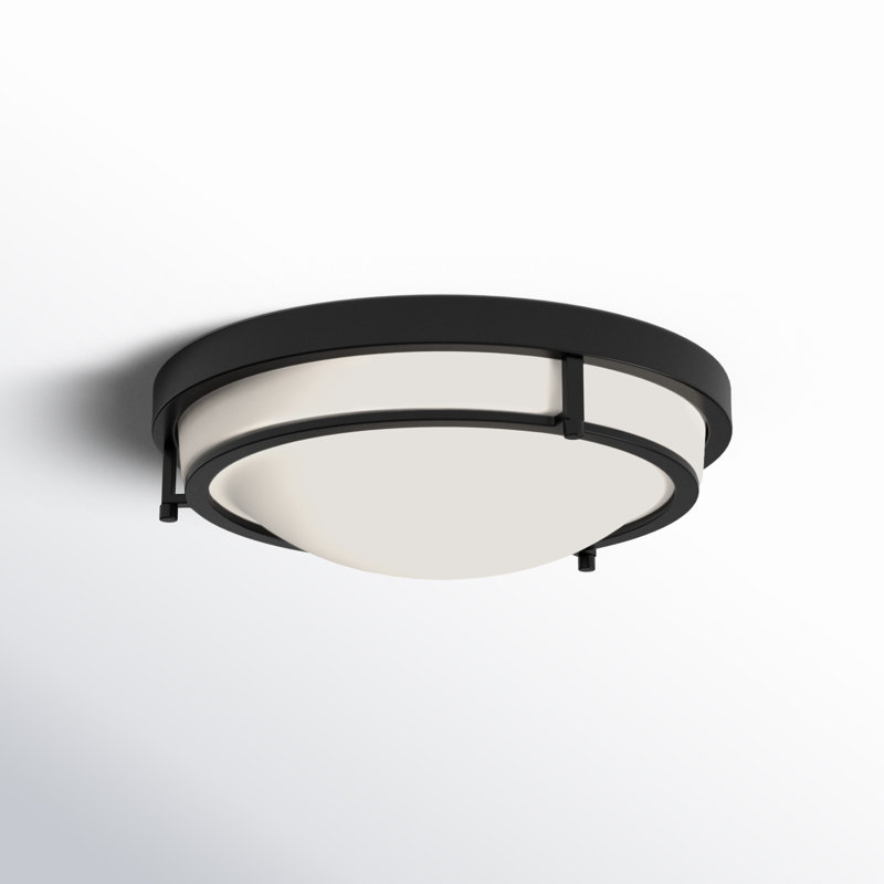 Aaru 2-Light Ceiling Light in Matte Black, Matte Black