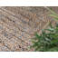 Tapis tressé Mullewa couleur lagon-1449357344