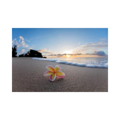 Plumeria Foam by Sean Davey - Wrapped Canvas Print