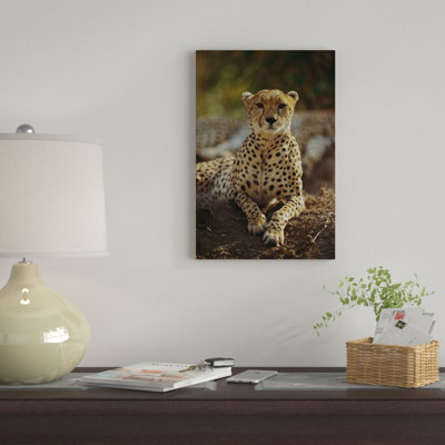 " Cheetah Masai Mara Kenya " by Gerry Ellis