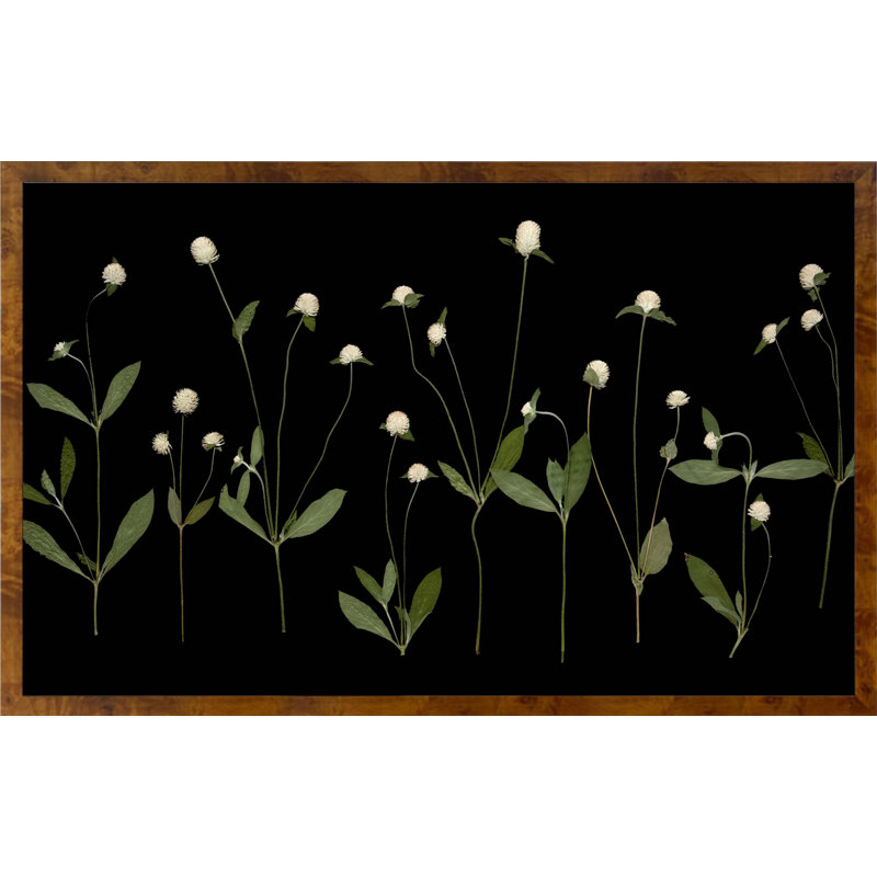 Plants & Flowers Print