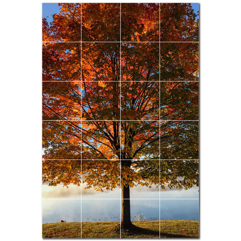 Photo d'automne 8 x 8