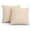 Ensemble de 2 coussins décoratifs d'extérieur à rayures 18 x 18 po imperméables et résistants à la décoloration pour patio