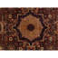 Aryana Wool Oriental Area Rug