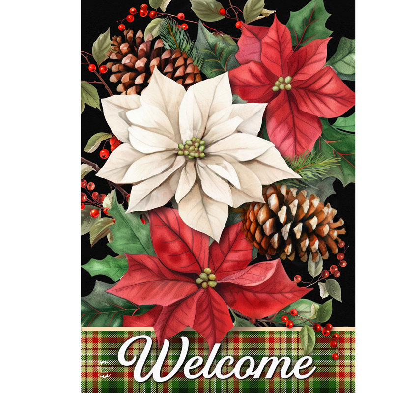 Drapeau de maison de poinsettias mixtes