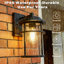 Schlesinger Seeded Glass Outdoor Wall Light-1247860708