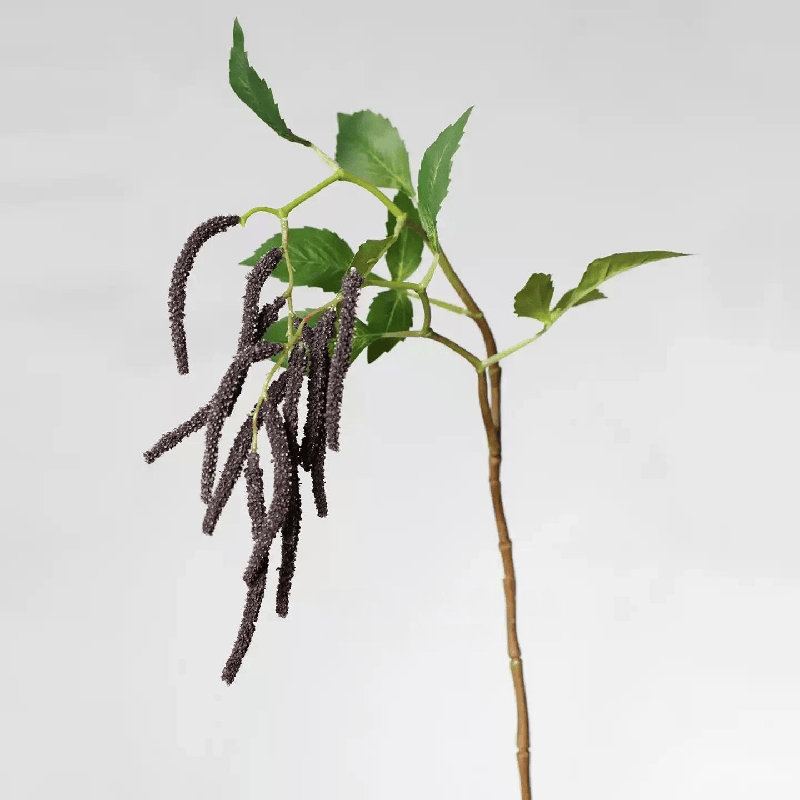 Branche suspendue Amaranthus - 27 po, [A] 1 tige