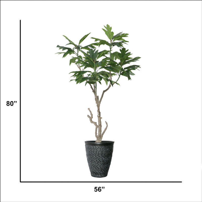 80'' Faux Fiddle Tree Tree in Pot