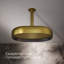 Statement™ 2.5 GPM Round 12 in. Rainhead with Katalyst Air-Induction Technology-293091985-293091987-312589343
