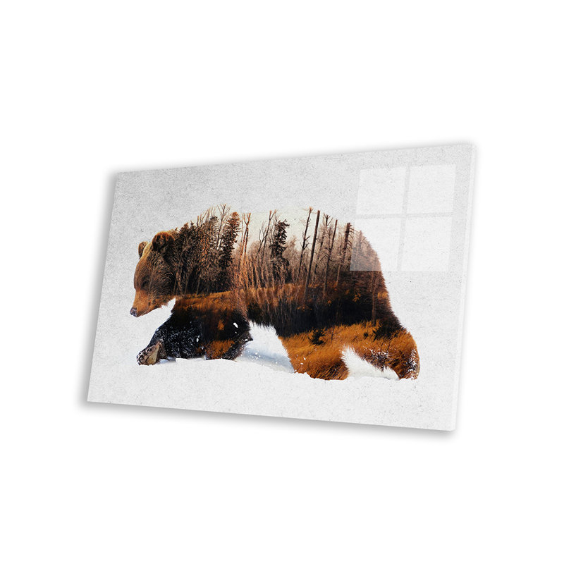 «Travelling Bear» par Andreas Lie - impression non encadrée, H 16 po x l 24 po x P 0,25 po
