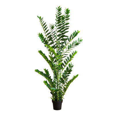 Artificial Zamioculcas Plant