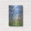 "Fleurs sauvages" par Dennis Frates-1448804137