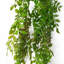 100 cm H Faux Foliage Plant-101685255