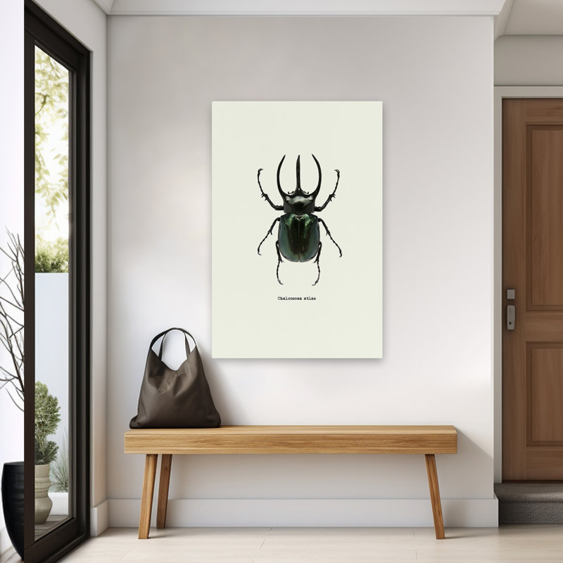 Coléoptère noir - art animaux et insectes, H 60 po x l 40 po