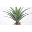 Agave 27 po plante artificielle avec pot-28920039
