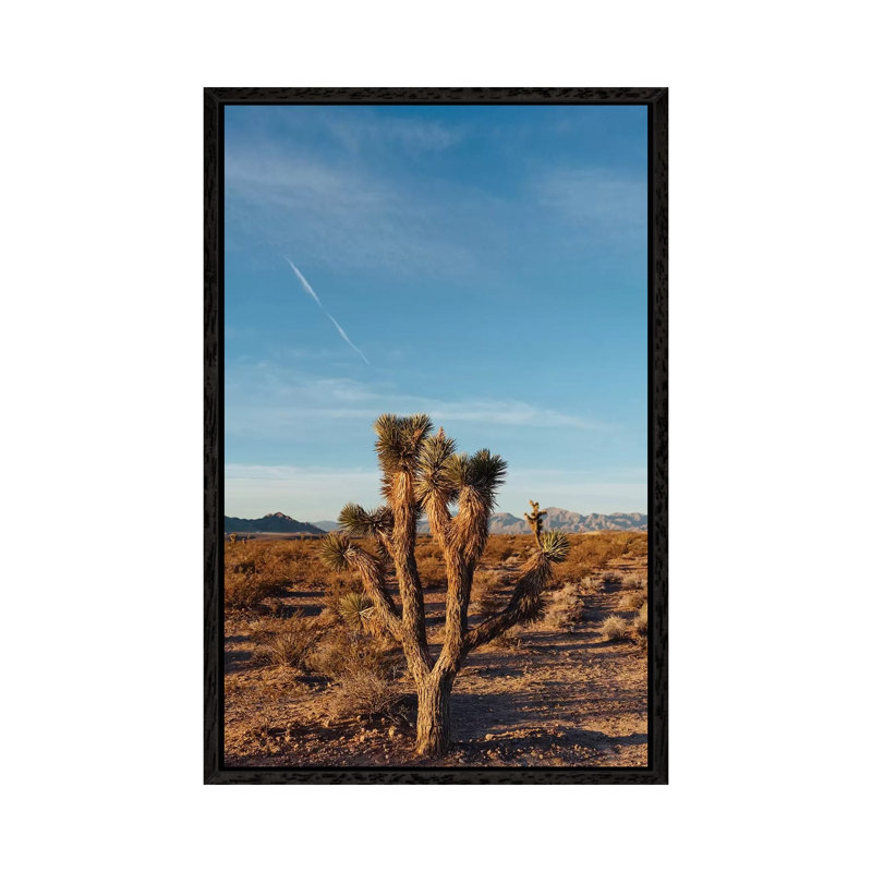 Nevada Desert Sunrise III 1 Piece Wall Art on Canvas, 101.6cm H x 66.04cm W x 3.81cm D, Black Framed