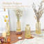 Ensemble de 12 vases en verre Bud-207987545