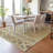 Machine Washable Indoor/Outdoor Boruta ACN2244 Navajo Rug-1386357008