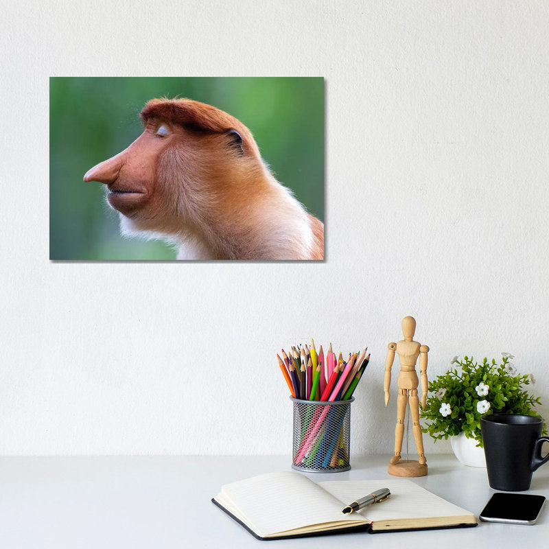 Proboscis Monkey The Inner World by Mogens Trolle - Wrapped Canvas Print, 20.32 cm H x 30.48 cm W