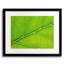 Autumn Leaf Print by Philippe Monthoux-65858889-132612938