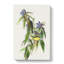 Connecticut Warbler Birds - Wrapped Canvas Painting-55371003