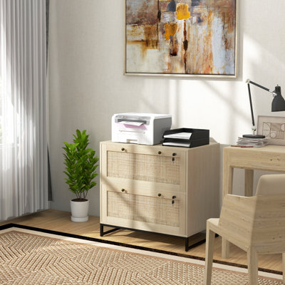 Amerigo 29.5'' Wide 2 -Drawer File Cabinet