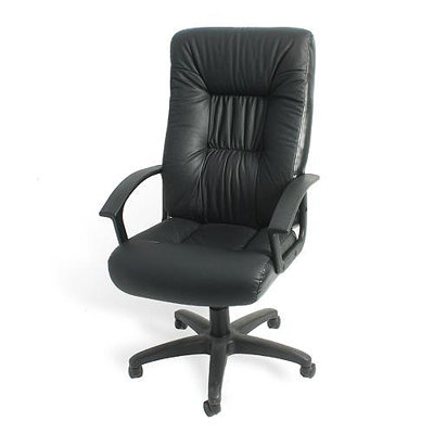 Symple Stuff Scarlett Nylon Executive Chair