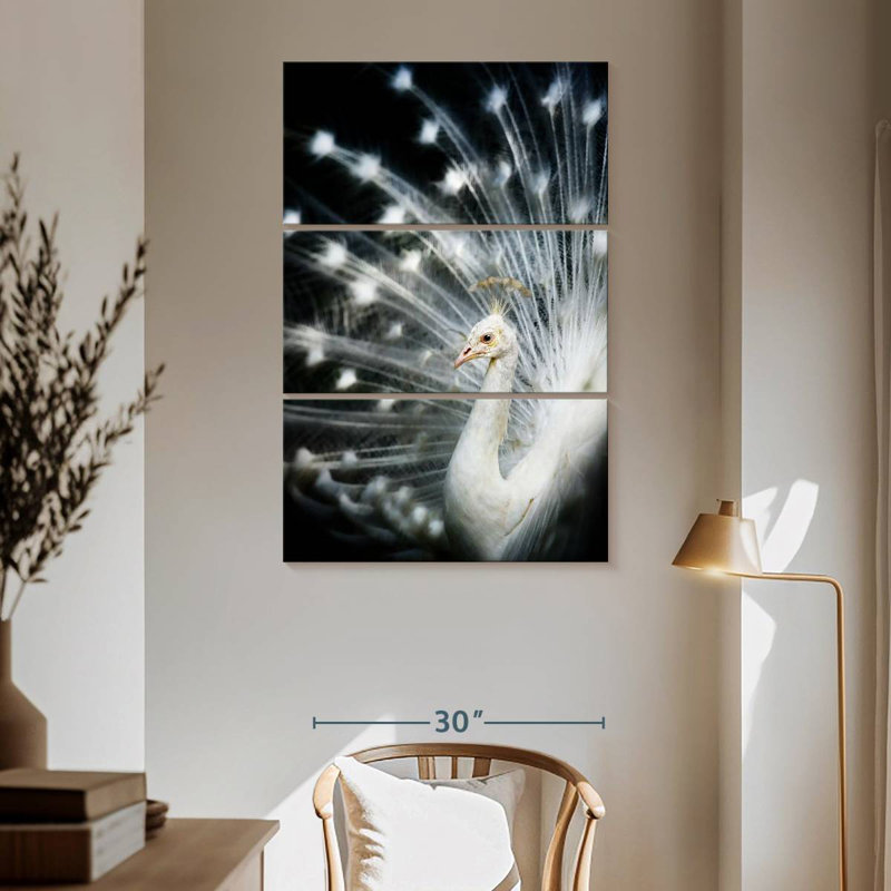Rare White Peacock, 65" H x 42" W