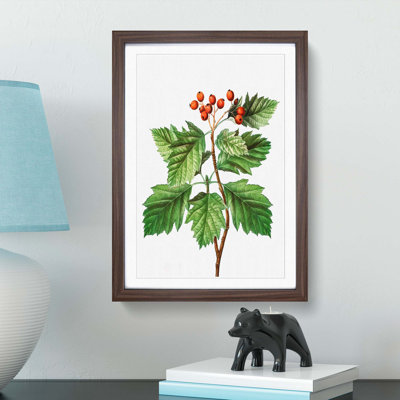 Hawthorn Berry Tree by Pierre-Joseph Redoute - Picture Frame Painting Print