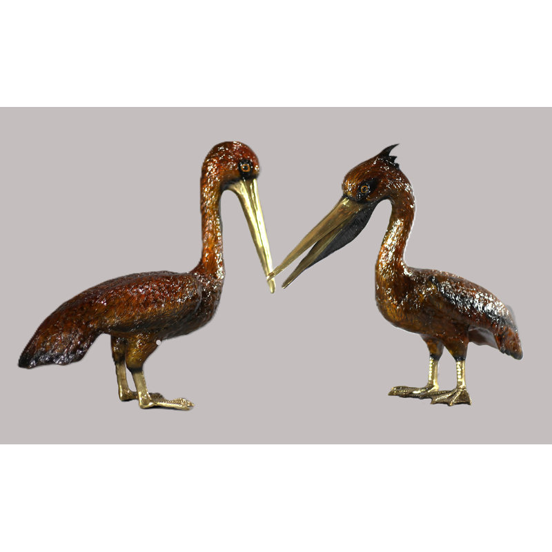 Pelican Edwin