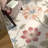 Clermont Beige / Pink Floral Machine Washable Non-Slip Area Rug-1670358046-1677098915