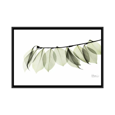«Camelia Leaf in White» par Albert Koetsier, reproduction d'art graphique sur toile