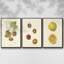 Persimmon II - ensemble de 3 reproductions sur toile-97710321-97710320