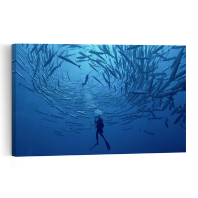 Underwater Barracuda Swirl Contemporary Fish Nature Ocean Wall Art Print