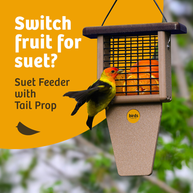 Taupe and Brown Recycled Plastic Hanging Suet Bird Feeder
