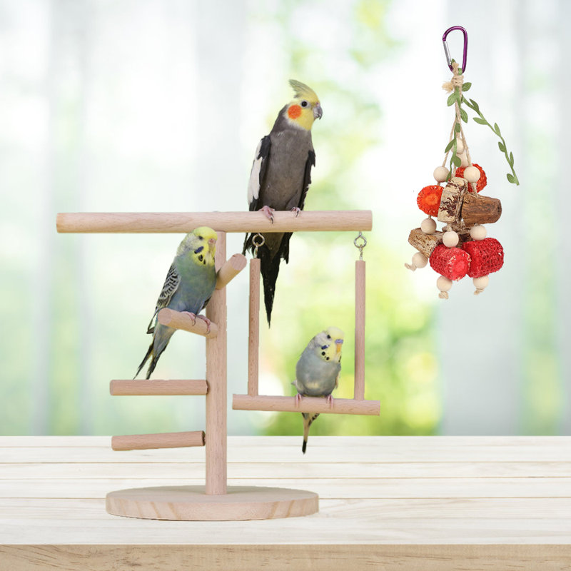 11,4 oiseaux