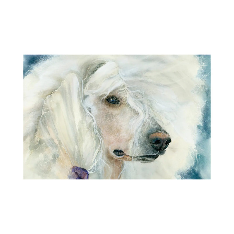 Continental Chic - White Poodle_1PC6, 26" H x 40" W, No Frame, Canvas