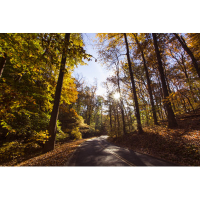 Route de campagne en automne par Wldavies