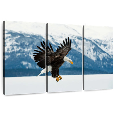 Brampt Alaskan Eagle