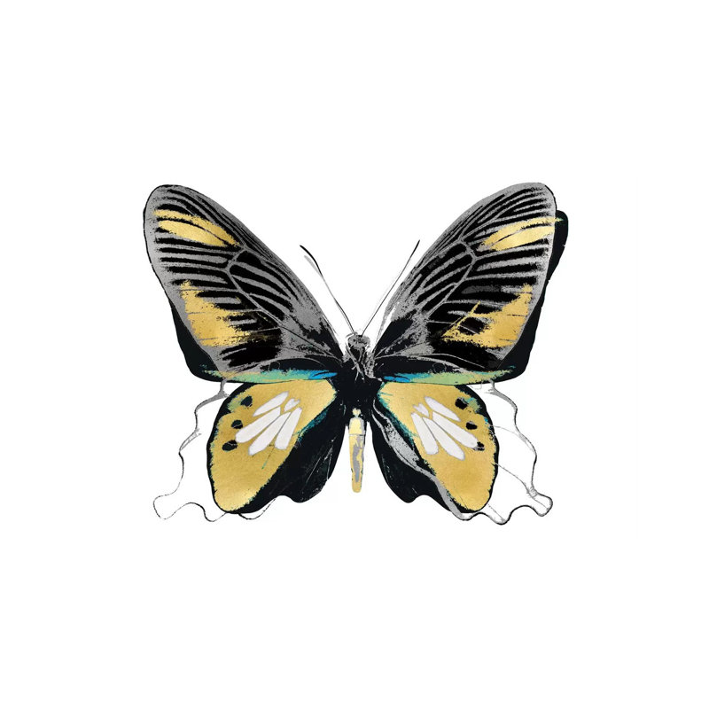 Vibrant Butterfly VI by Julia Bosco - No Frame Gallery-Wrapped Canvas Giclée on Canvas, 30.48cm H x 45.72cm W