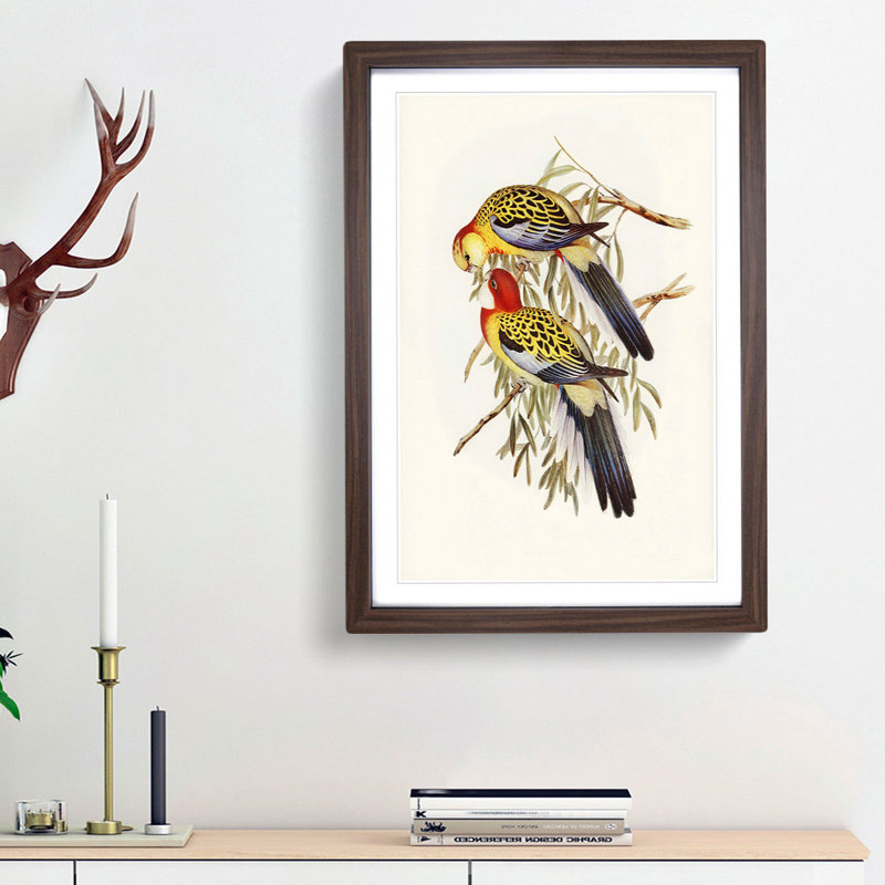 Splendid Parakeets by Elizabeth Gould - Picture Frame Painting Print, 48cm H x 36cm W x 2cm D, Walnut Framed